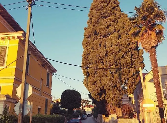 Siega Πανσιόν